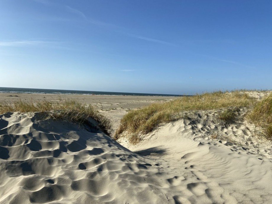 D�nen und Meer Einfamilienhaus Ferienhaus vor Sylt & D�nemark zu verkaufen