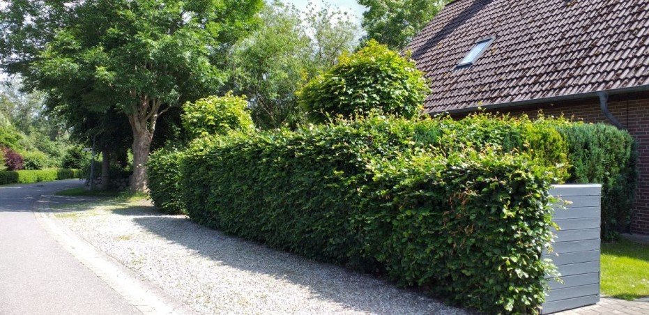 Ruhige Stra�e Reihenmittelhaus Ferienhaus in Nordfriesland Verkauf provisionsfrei