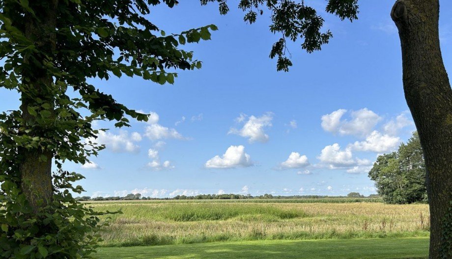 Traumhafter Blick Einfamilienhaus Immobilien Nordfriesland kaufen und verkaufen