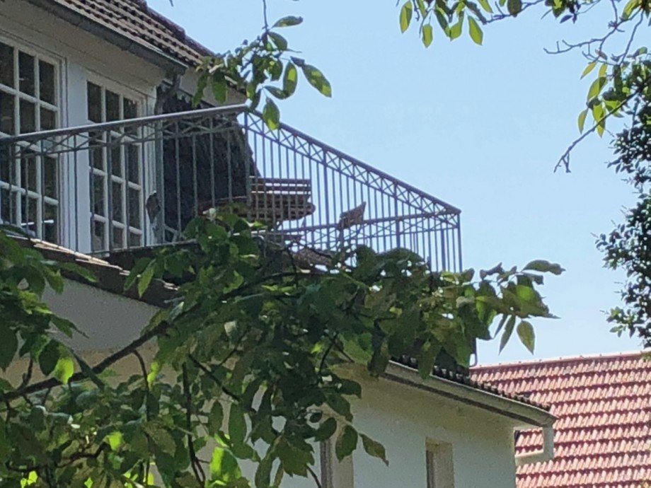 Villa Friedericia Wohnung Villa Friedericia Altstadt Wyk