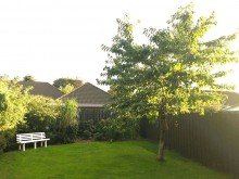 Garten Ferienhaus mit Ambiente und Flair direkt vor Sylt & D�nemark zu verkaufen - provisionsfrei!