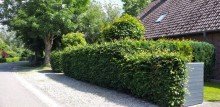 Ruhige Stra�e Ferienhaus mit Ambiente und Flair direkt vor Sylt & D�nemark zu verkaufen - provisionsfrei!