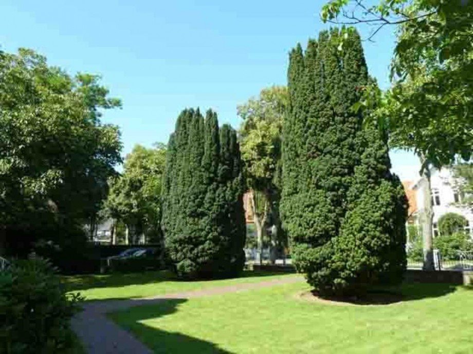 Sch�ner Garten Etagenwohnung F�hr Immobilien